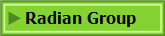  Radian Group